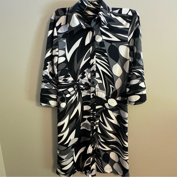 Express Dress - Picture 1 of 3